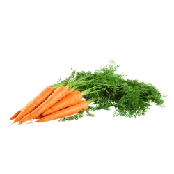 Organic Carrots Bunch