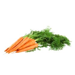 Organic Carrots Bunch