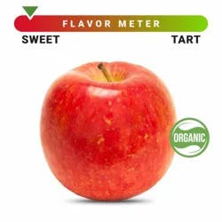 Organic Fuji Apple – Each