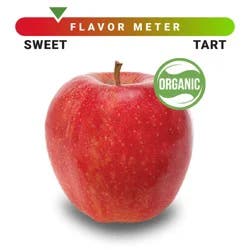 Organic Large Gala Apple – Each