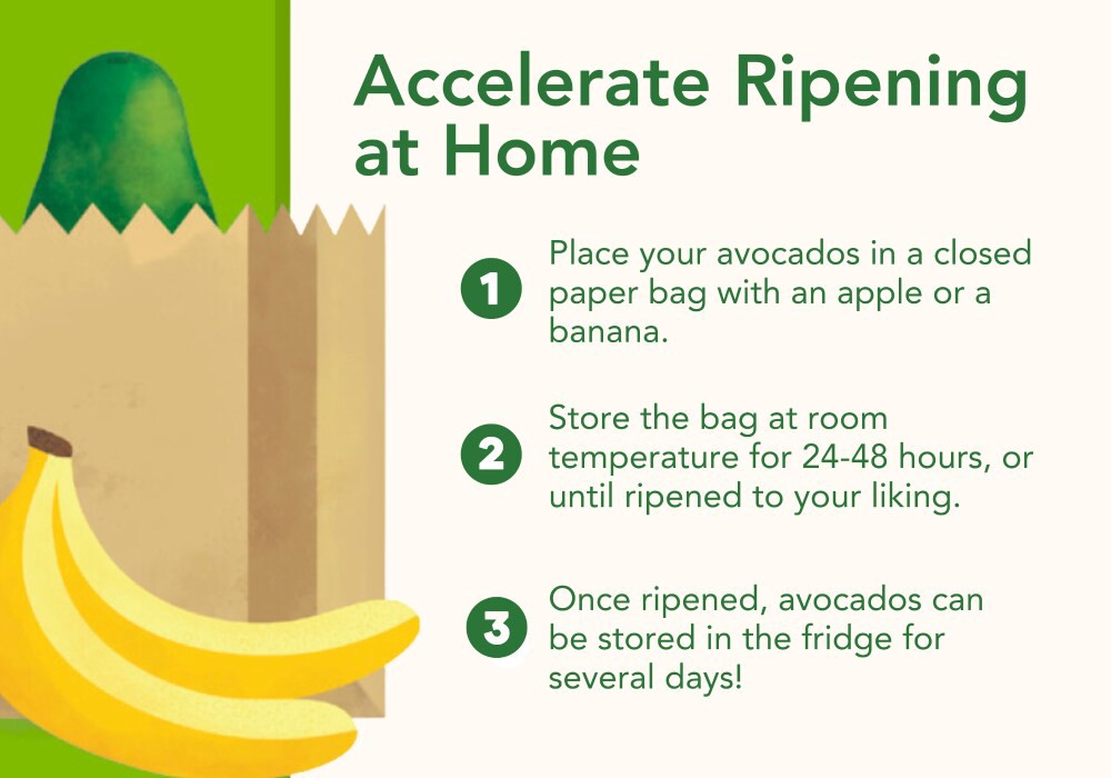 slide 4 of 4, Avocado, 1 ct