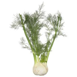 Organic Fennel