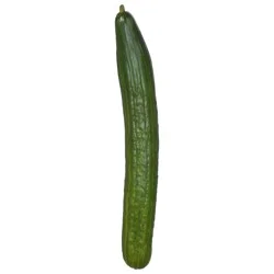 Organic Long English Cucumber