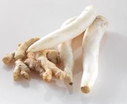 Organic Daikon Radish