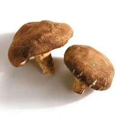 Medium Shiitake Mushrooms - Bulk Per Pound