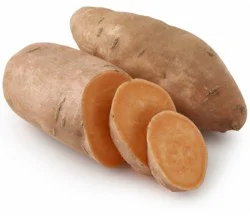 Organic Gold Jewel Sweet Potatoes