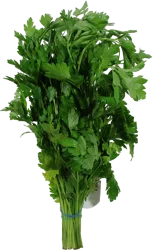 Organic Parsley Curly