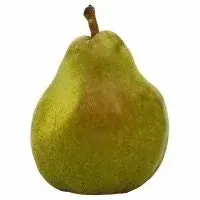 Produce Comice Pear
