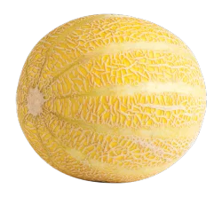 Produce Lemon Drop Melon