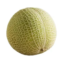 Cantaluxe Melons