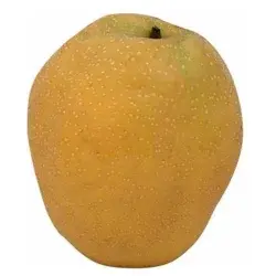 Produce Asian Pear