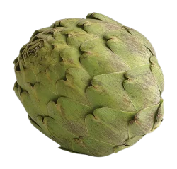 Artichokes