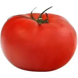 Produce Homegrown Tomato