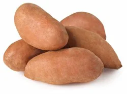 Produce Golden Sweet Potato