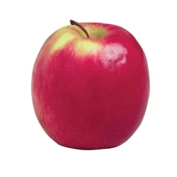 Organic Pink Lady Apples