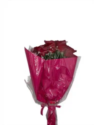 All Flower Rose Bouquet Special One Dozen