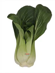 Main Plu Scale Bok Choy Shanghai