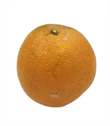 Orange Ca Navel Sm