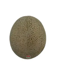 Main Plu Scale Melon- Cantaloupe Lg