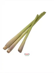 Main Plu Scale Lemongrass