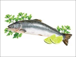 Fish-Whole Salmon - Large