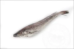Fish-Whole Whiting