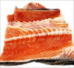 Fish-Bone Salmon Bone