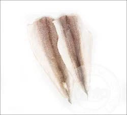 Fish-Fillet Whiting Fillet