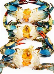 Shell Fish-Crab Cleaned Crab