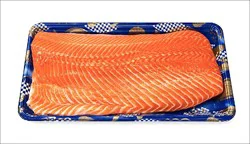 Fish-Fillet Family Pk Salmon-Steelhead Fil