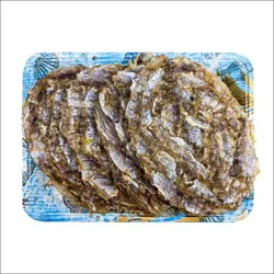 Fish-Frozen Dried File Fish