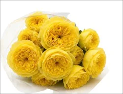 Sharon Flowers Spray Roses