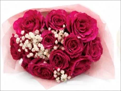 Sharon Roses One Dozen