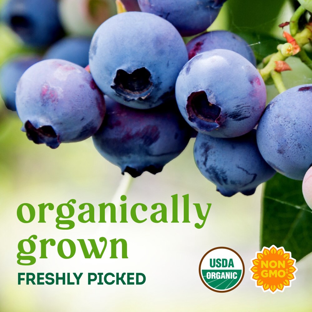 slide 4 of 5, Simple Truth Organic Blueberries, 1 pint