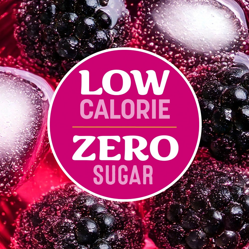 slide 2 of 4, Kroger® Fizz Zero Sugar Black Raspberry Sparkling Water, 12 ct; 17 fl oz