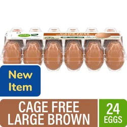 Simple Truth® Cage Free Grade A Large Brown Eggs, 24 ct