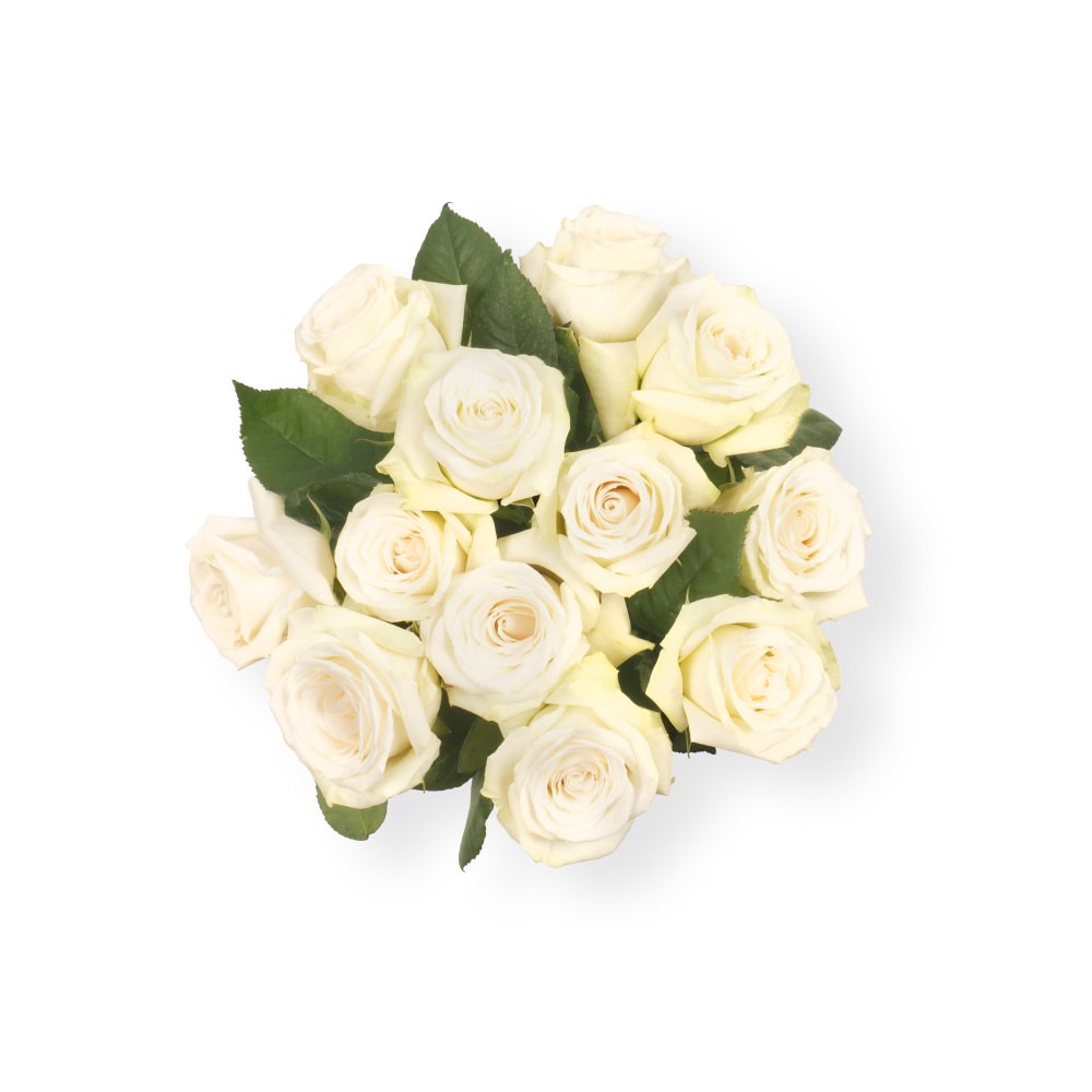 slide 2 of 2, Bloom Haus Dozen Rose Bunch - White, 12 ct