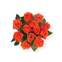Bloom Haus Orange Roses