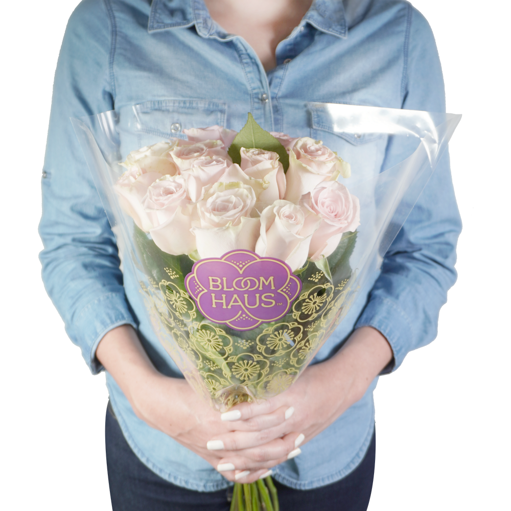 slide 2 of 2, Bloom Haus Pink Roses, 12 ct