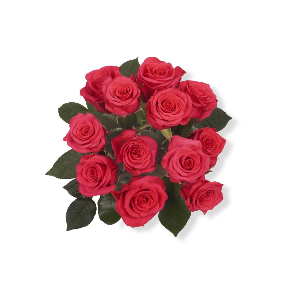 slide 1 of 2, Bloom Haus Hot Pink Dozen Rose Fresh Flower Bouquet, 12 ct