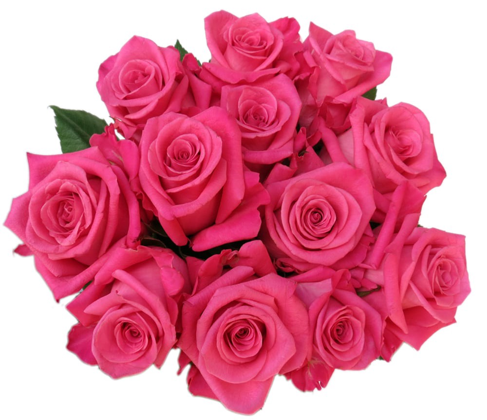slide 1 of 2, Bloom Haus™ Dozen Rose Bunch - Hot Pink, 12 ct