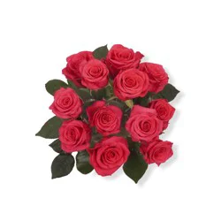 Bloom Haus Hot Pink Dozen Rose Fresh Flower Bouquet