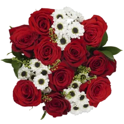 Bloom Haus Classic Red Rose Bouquet
