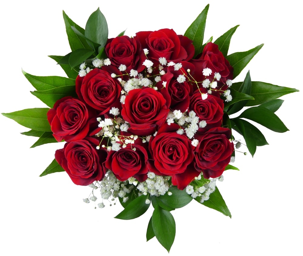 slide 1 of 1, Bloom Haus 12 Plus Rose Bouquet - Red, 18 x 19 stems