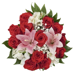 Bloom Haus 12 Plus Rose Bouquet - Red