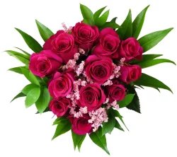 Bloom Haus 12 Plus Rose Bouquet - Hot Pink