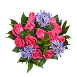 Bloom Haus Beautiful Rose Hot Pink