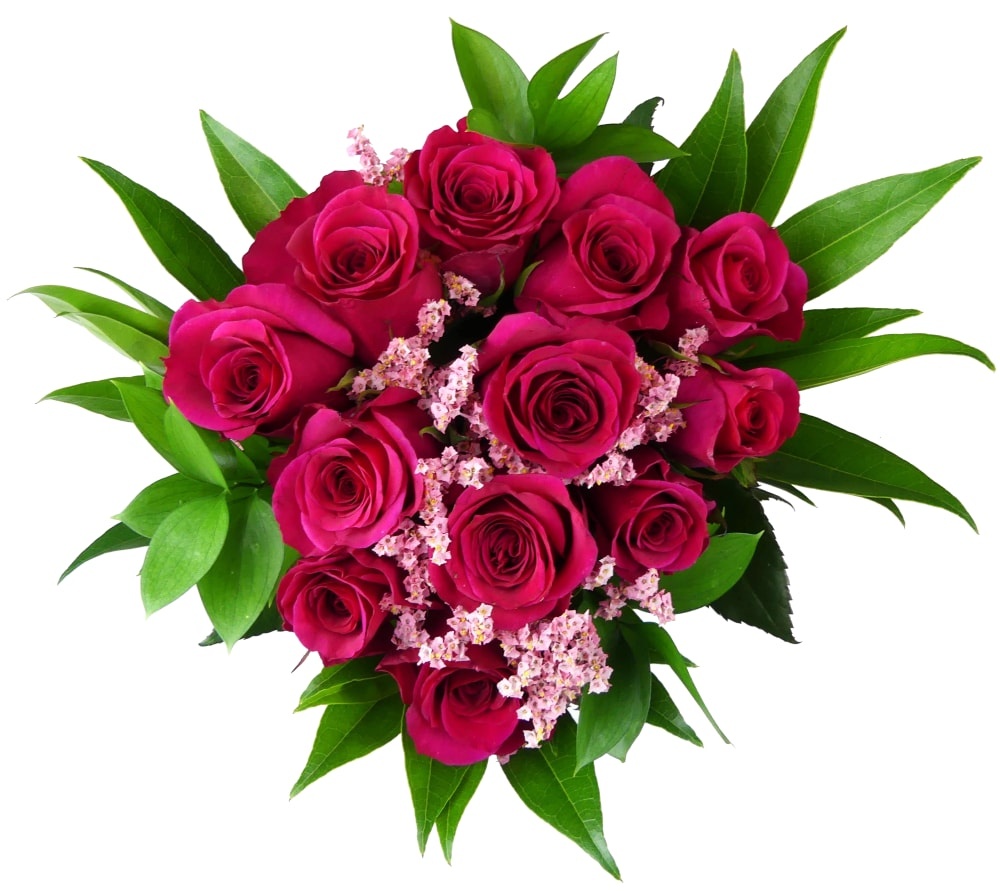 slide 1 of 1, Bloom Haus 12 Plus Rose Bouquet - Hot Pink, 18 x 19 stems