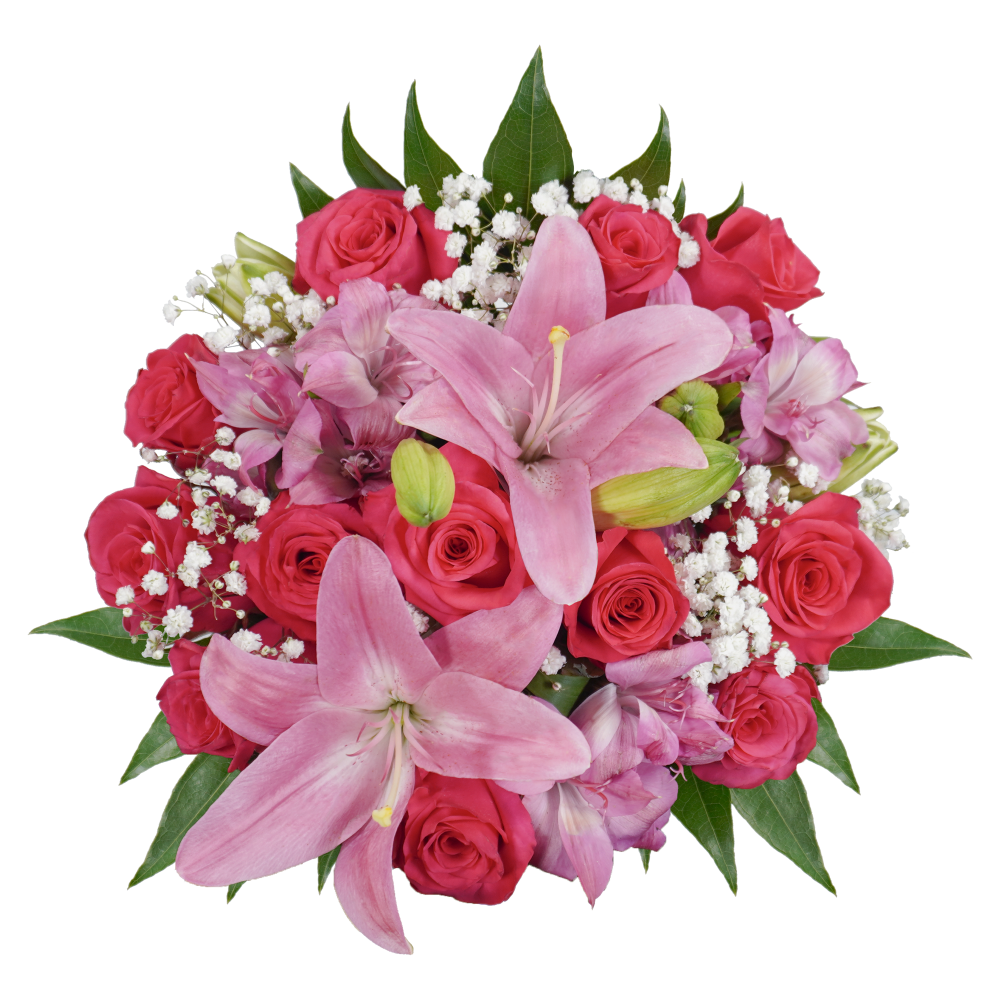 slide 1 of 1, Bloom Haus 12 Plus Rose Bouquet - Hot Pink, 18 x 19 stems