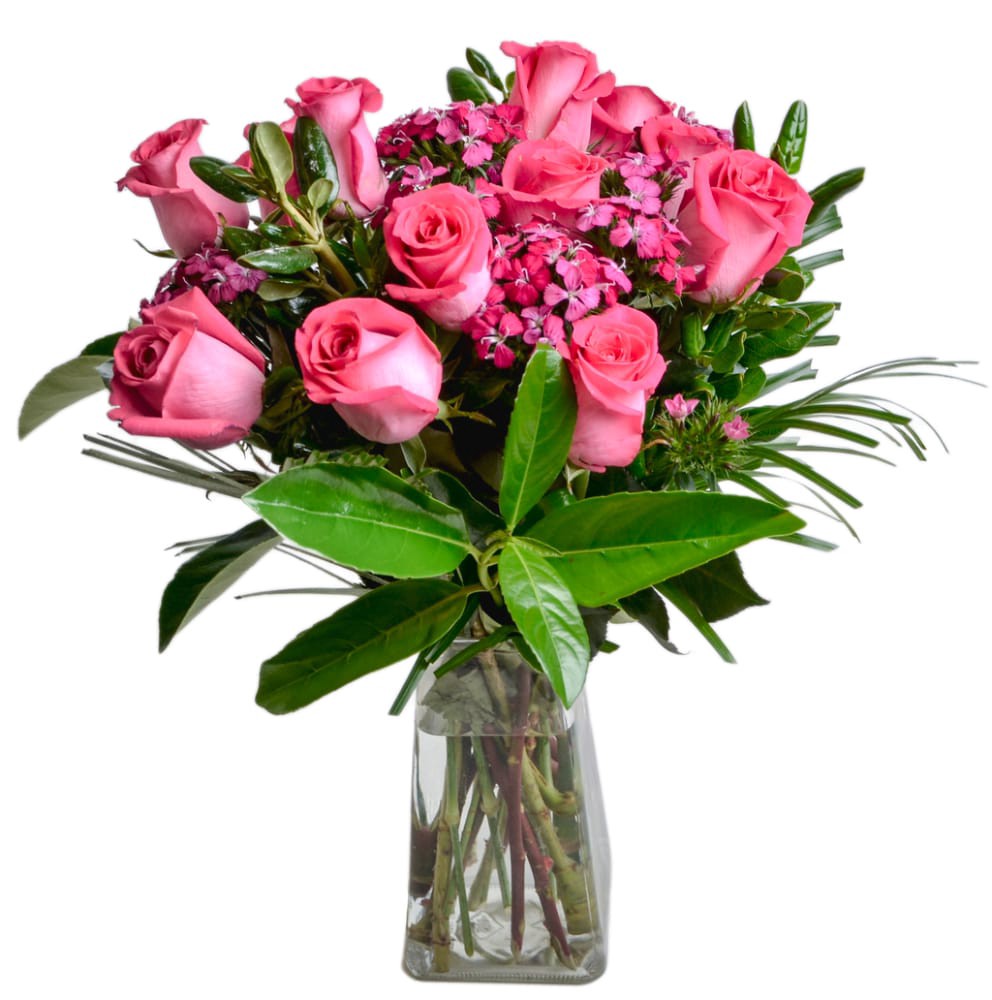 slide 2 of 2, BLOOM HAUS Dozen Rose, 12 ct